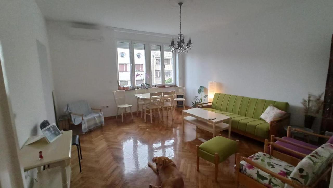 Apartment Hermes Белград Екстериор снимка